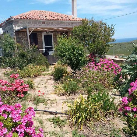 Апартаменты Cozy House With Amazing Sea View Kaminia  Экстерьер фото
